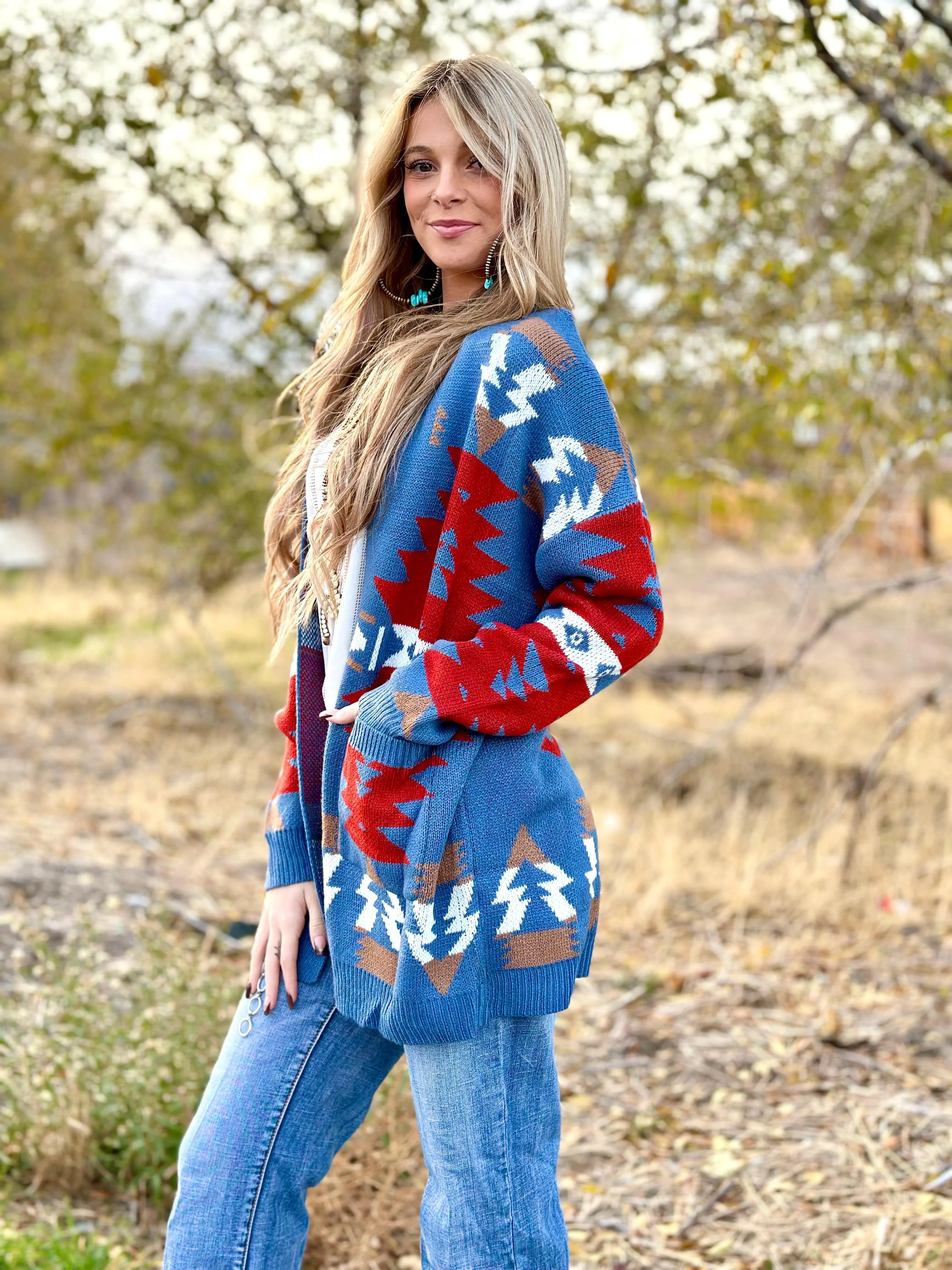 The Aztec Blue Painted Pony Cardigan Sweater